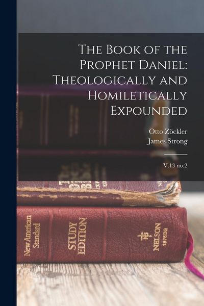 Produktbild: The Book of the Prophet Daniel: Theologically and Homiletically Expounded: V.13 no.2