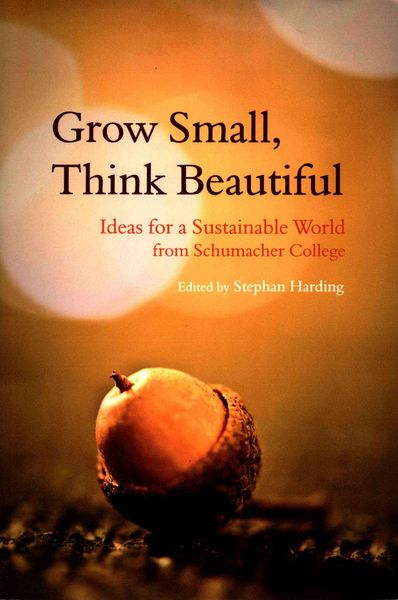 Produktbild: Grow Small, Think Beautiful