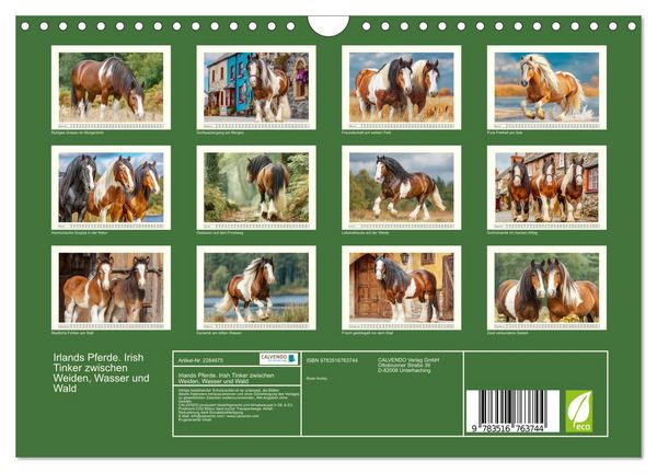 Produktbild: Irlands Pferde. Irish Tinker zwischen Weiden, Wasser und Wald (Wandkalender 2027 DIN A4 quer), CALVENDO Monatskalender