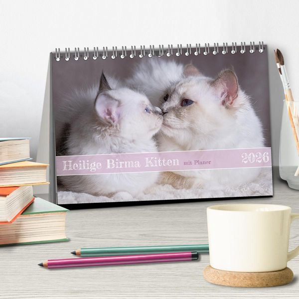 Produktbild: Heilige Birma Kitten mit Planer (Tischkalender 2026 DIN A5 quer), CALVENDO Monatskalender