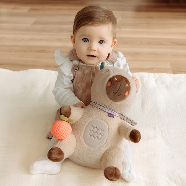 Produktbild: Kuscheltier Capybara XL