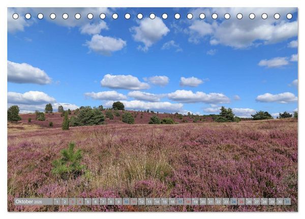 Produktbild: L&uuml;neburger Heide - Faszinierend sch&ouml;n (Tischkalender 2026 DIN A5 quer), CALVENDO Monatskalender