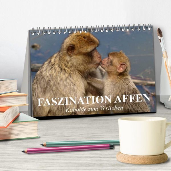 Produktbild: Faszination Affen. Kobolde zum Verlieben (Tischkalender 2026 DIN A5 quer), CALVENDO Monatskalender