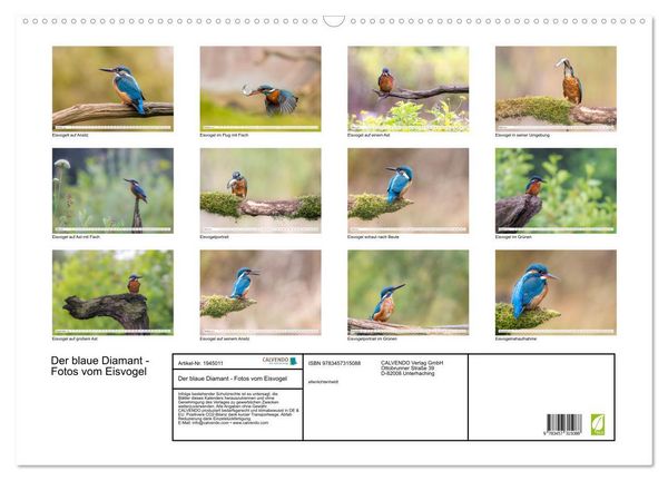 Produktbild: Der blaue Diamant - Fotos vom Eisvogel (Wandkalender 2026 DIN A2 quer), CALVENDO Monatskalender