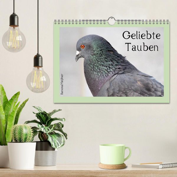 Produktbild: Geliebte Tauben (Wandkalender 2026 DIN A4 quer), CALVENDO Monatskalender