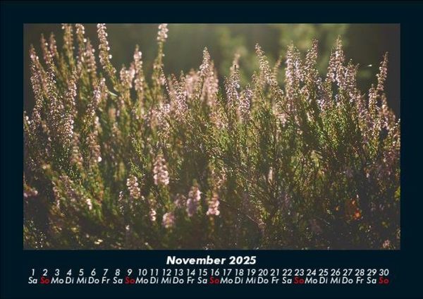Produktbild: Pflanzen und Bl&uuml;ten 2025 Fotokalender DIN A5