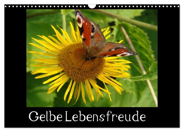 Produktbild: Gelbe Lebensfreude (Wandkalender 2026 DIN A3 quer), CALVENDO Monatskalender