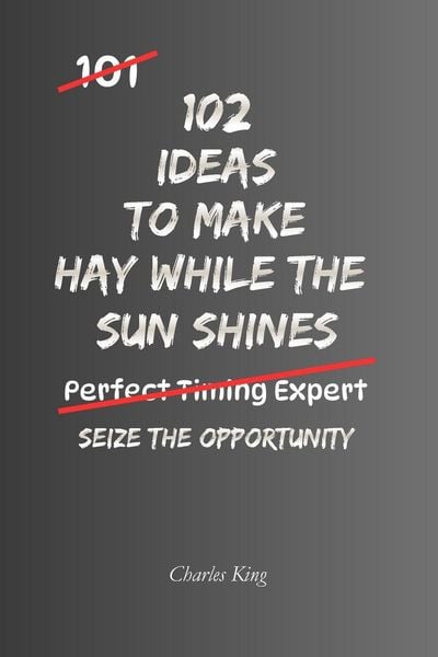 Produktbild: 102 Ideas To Make Hay While The Sun Shines