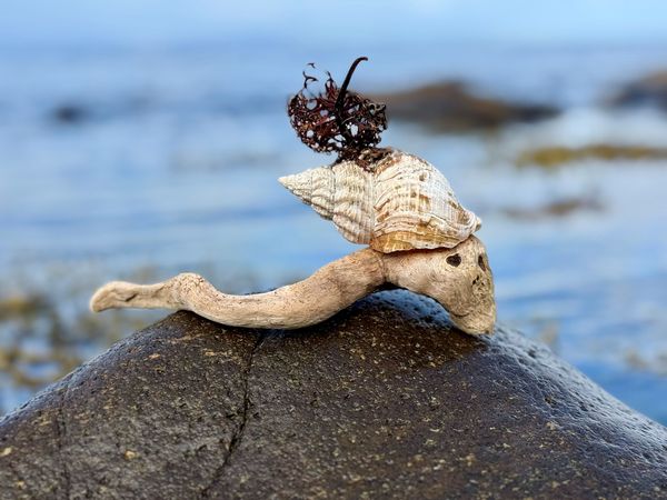 Produktbild: Stranding