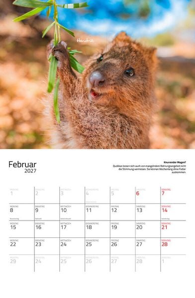 Produktbild: Quokkas 2027 Eintragkalender