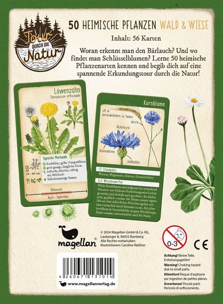Produktbild: Tour durch die Natur - 50 heimische Pflanzen - Wald & Wiese