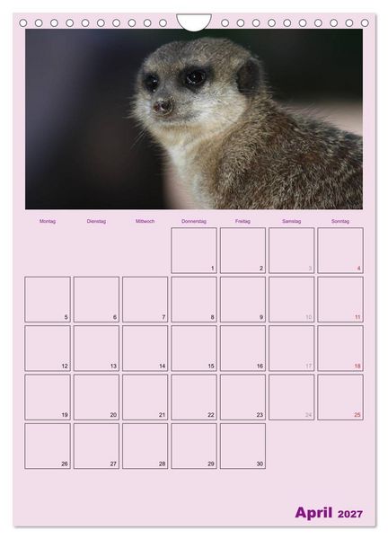 Produktbild: Erdm&auml;nnchen / Terminplaner (Wandkalender 2027 DIN A4 hoch), CALVENDO Monatskalender