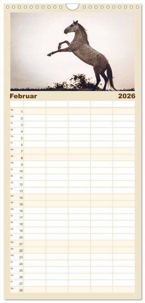 Produktbild: Familienplaner 2026 - Spiegel deiner Seele mit 5 Spalten (Wandkalender, 21 x 45 cm) CALVENDO