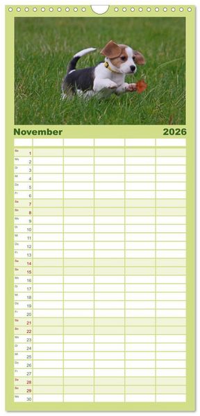 Produktbild: Familienplaner 2026 - Beagle mit 5 Spalten (Wandkalender, 21 x 45 cm) CALVENDO