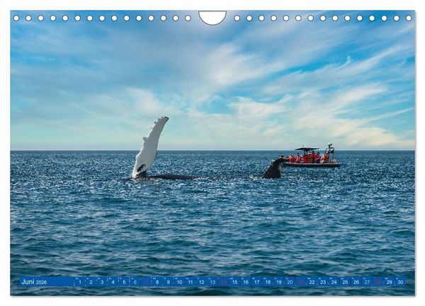 Produktbild: KANADA - Der maritime Osten (Wandkalender 2026 DIN A4 quer), CALVENDO Monatskalender