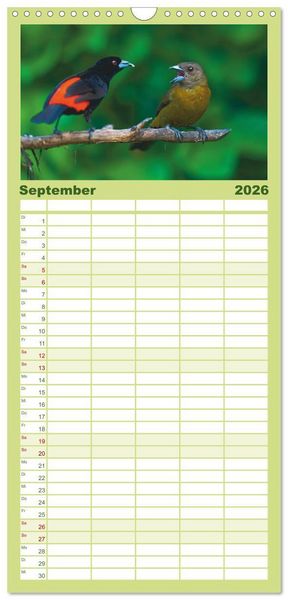 Produktbild: Familienplaner 2026 - Costa Ricas gefiederte Pracht mit 5 Spalten (Wandkalender, 21 x 45 cm) CALVENDO
