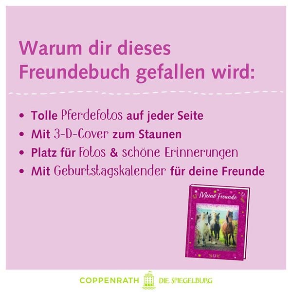 Produktbild: Freundebuch &ndash; Meine Freunde