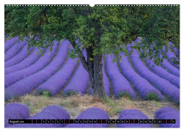 Produktbild: Provence im Rausch der Farben (Wandkalender 2026 DIN A2 quer), CALVENDO Monatskalender