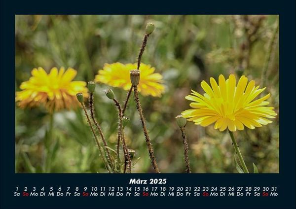 Produktbild: Blumenzauber 2025 Fotokalender DIN A4
