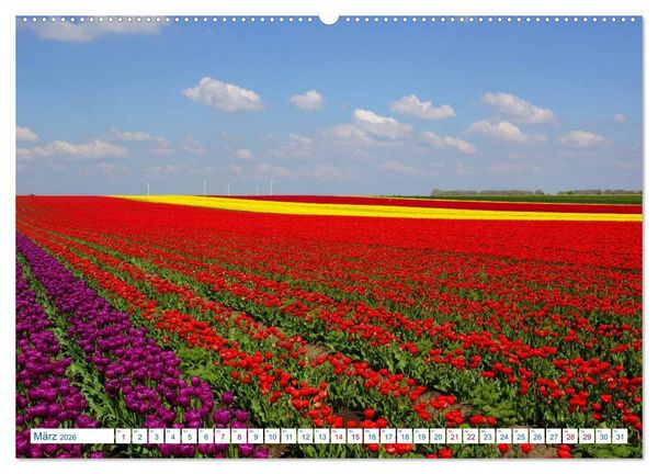 Produktbild: Magdeburg und Umgebung 2026 (hochwertiger Premium Wandkalender 2026 DIN A2 quer), Kunstdruck in Hochglanz