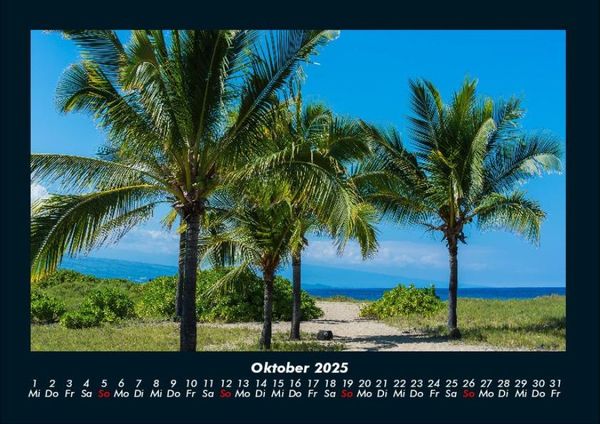 Produktbild: Palmentraum 2025 Fotokalender DIN A4