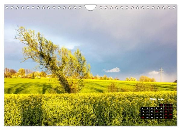 Produktbild: Rund um den Sch&ouml;nbuch (Wandkalender 2026 DIN A4 quer), CALVENDO Monatskalender