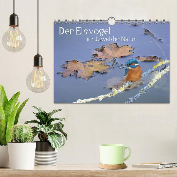 Produktbild: Der Eisvogel, ein Juwel der Natur (Wandkalender 2026 DIN A4 quer), CALVENDO Monatskalender