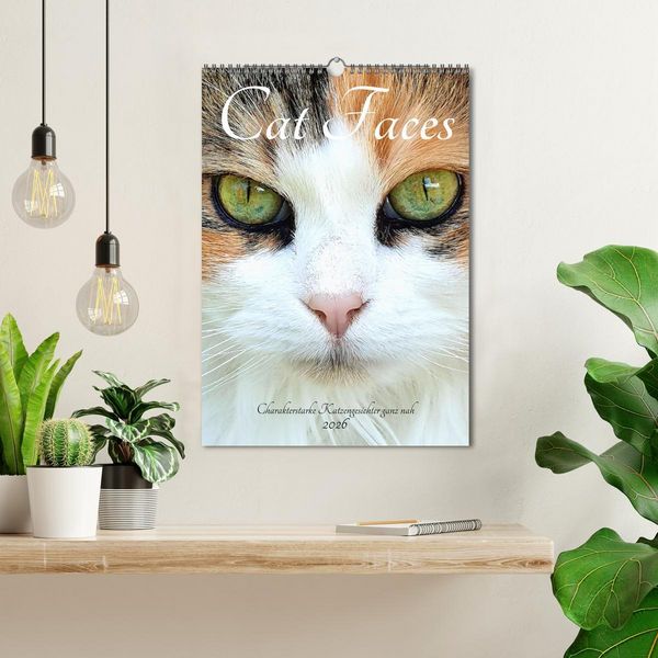 Produktbild: Cat Faces - Charakterstarke Katzengesichter ganz nah (Wandkalender 2026 DIN A3 hoch), CALVENDO Monatskalender