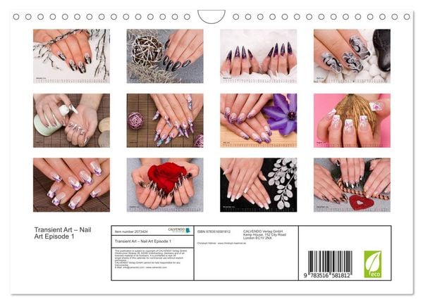 Produktbild: Transient Art &ndash; Nail Art Episode 1 (Wall Calendar 2026 DIN A4 landscape), CALVENDO 12 Month Wall Calendar