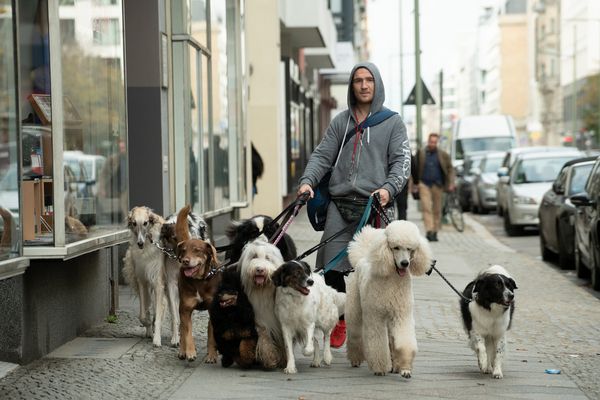 Produktbild: Wuff