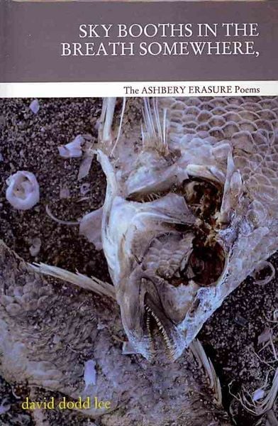 Produktbild: Sky Booths in The Breath Somew