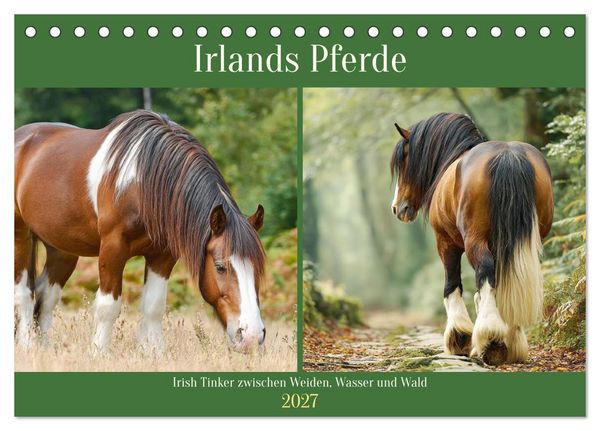 Produktbild: Irlands Pferde. Irish Tinker zwischen Weiden, Wasser und Wald (Tischkalender 2027 DIN A5 quer), CALVENDO Monatskalender