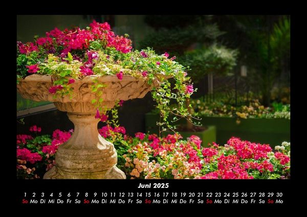 Produktbild: Blumentr&auml;ume 2025 Fotokalender DIN A3