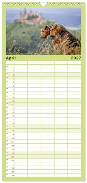 Produktbild: Familienplaner 2027 - Airedale-Terrier, was sonst! mit 5 Spalten (Wandkalender, 21 x 45 cm) CALVENDO