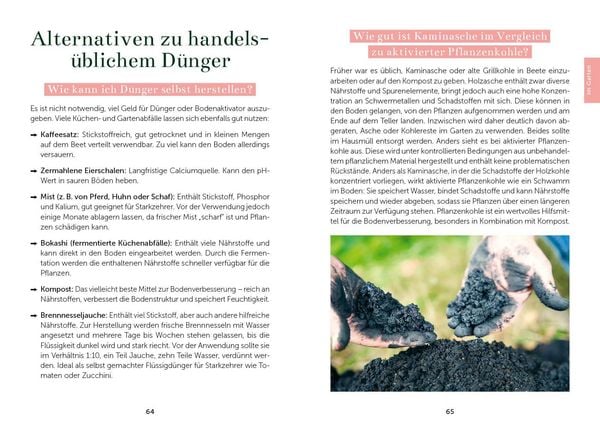 Produktbild: Das Gem&uuml;segarten 1 x 1
