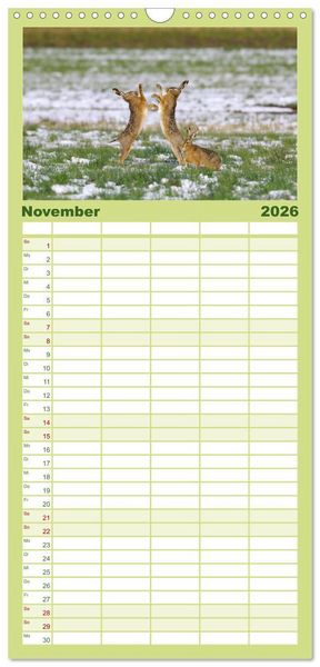 Produktbild: Familienplaner 2026 - Feldhasen in H&ouml;chstform mit 5 Spalten (Wandkalender, 21 x 45 cm) CALVENDO