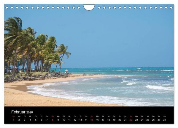 Produktbild: Trauminsel Puerto Rico (Wandkalender 2026 DIN A4 quer), CALVENDO Monatskalender