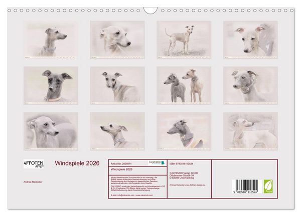 Produktbild: Windspiele 2026 (Wandkalender 2026 DIN A3 quer), CALVENDO Monatskalender
