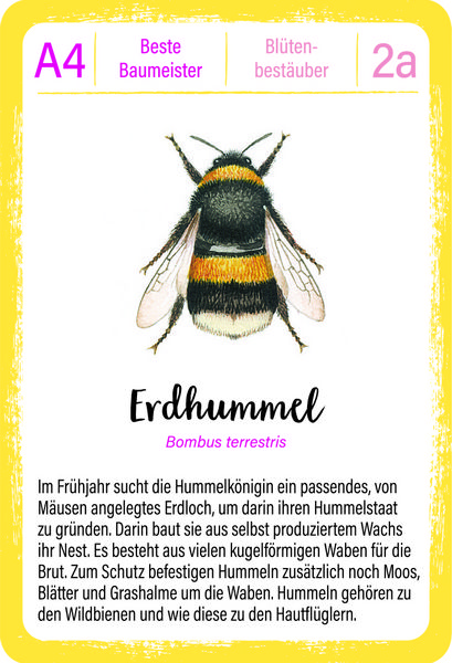 Produktbild: Expedition Natur Quartett Tierrekorde