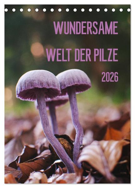 Wundersame Welt der Pilze (Tischkalender 2026 DIN A5 hoch), CALVENDO Monatskalender