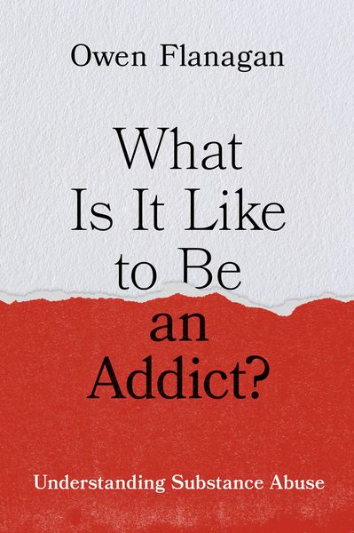 Produktbild: What Is It Like to Be an Addict?