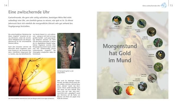 Produktbild: V&ouml;gel zu Gast im Garten - Heimische V&ouml;gel beobachten, bestimmen, sch&uuml;tzen.