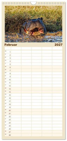 Produktbild: Familienplaner 2027 - Hippos - Gef&auml;hrliche Giganten mit 5 Spalten (Wandkalender, 21 x 45 cm) CALVENDO