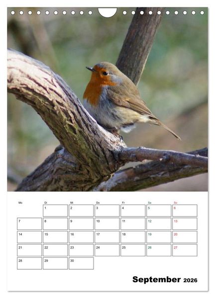 Produktbild: Heimische Singv&ouml;gel (Wandkalender 2026 DIN A4 hoch), CALVENDO Monatskalender