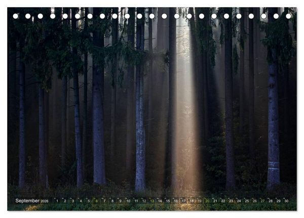 Produktbild: B&auml;ume (Tischkalender 2026 DIN A5 quer), CALVENDO Monatskalender