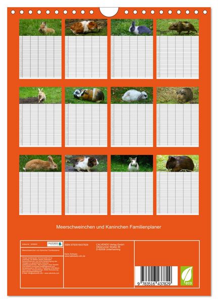 Produktbild: Meerschweinchen und Kaninchen Familienplaner (Wandkalender 2026 DIN A4 hoch), CALVENDO Monatskalender
