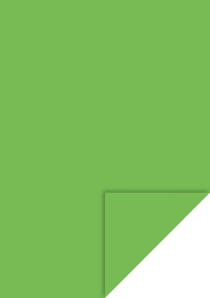Produktbild: Tonpapier | A4, 130 g/m&sup2;, grasgr&uuml;n