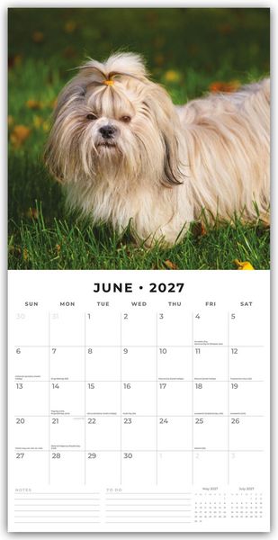 Produktbild: Shih Tzu 2027 &ndash; 16-Monatskalender