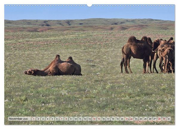 Produktbild: Nord-Gobi (Wandkalender 2026 DIN A2 quer), CALVENDO Monatskalender