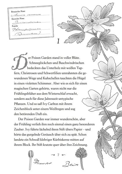 Produktbild: Ivy und das Herz des Poison Garden